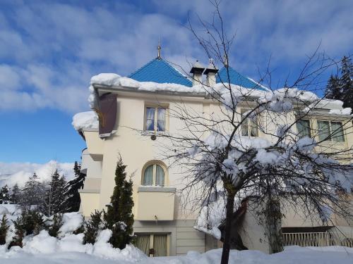 a building with a blue roof in the snow at Villa Orso Grigio in Ronzone