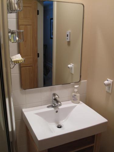 a bathroom with a white sink and a mirror at Genelle House B&B Guest House in Genelle
