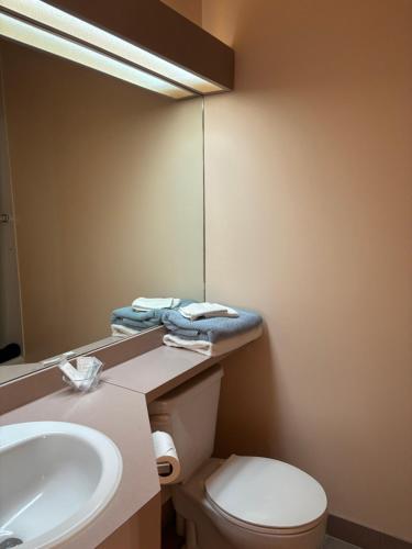 a bathroom with a sink and a toilet and a mirror at Auberge du Jardin in Petit-Saguenay