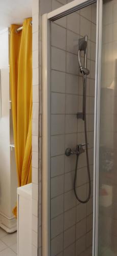 une douche avec pommeau de douche dans une salle de bain dans l'établissement Petit studio rénové proche Place République 75011, à Paris
