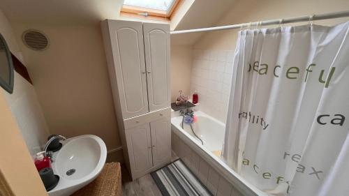 a bathroom with a shower and a toilet and a sink at Douceur et quiétude rurale in Lassay-sur-Croisne
