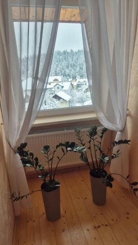 two potted plants sitting in front of a window at Садиба Святослав in Skhidnitsa