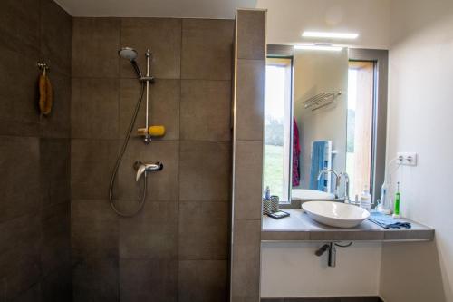 une salle de bain avec douche et lavabo dans l'établissement Maison bioclimatique, à Meyrals