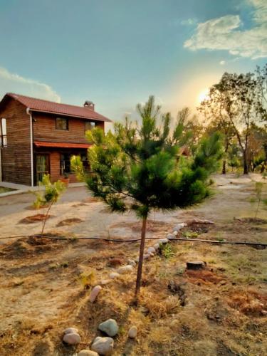 Φωτογραφία από το άλμπουμ του Eco Parque La Luciérnaga σε Estación Contadero