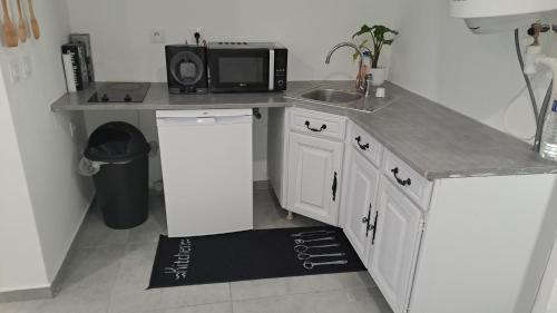 une petite cuisine avec un évier et un micro-ondes dans l'établissement Studio Arago, à Roanne