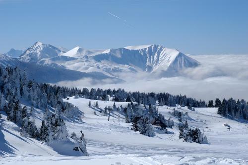 a snow covered mountain with trees and snow covered mountains at Eterlou 101 in Chamrousse