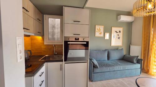 Nicolas Home