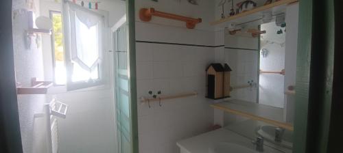 Un baño de Le Pirate Lazor - Les Sables Vignier