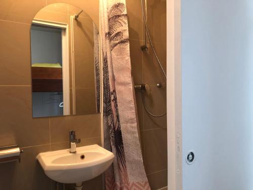 une salle de bain avec un lavabo et une douche avec un miroir dans l'établissement Le studio de Bastille Paris, à Paris