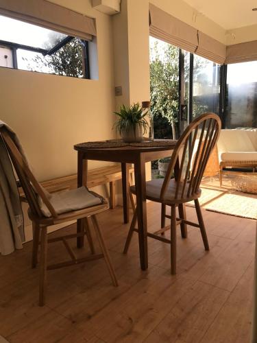 a dining room table and two chairs with a potted plant on it at Your Dublin Basecamp in Dublin