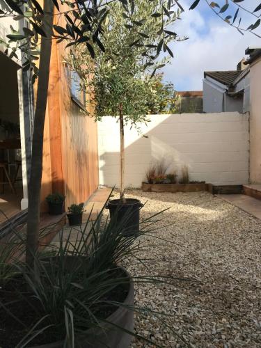 a small tree in a yard next to a wall at Your Dublin Basecamp in Dublin