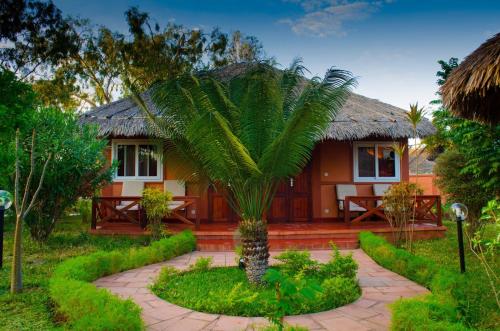 a house with a palm tree in front of it at Edena Kely in Mahajanga