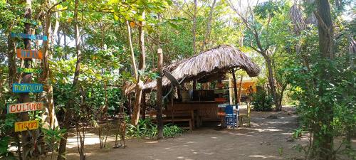 a small shack in the middle of a forest at El Viejo del Mar in San Bernardo del Viento