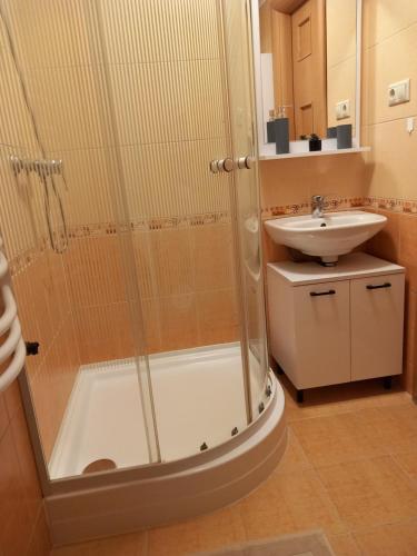 Koupelna v ubytování Bródy 51 53 Apartman