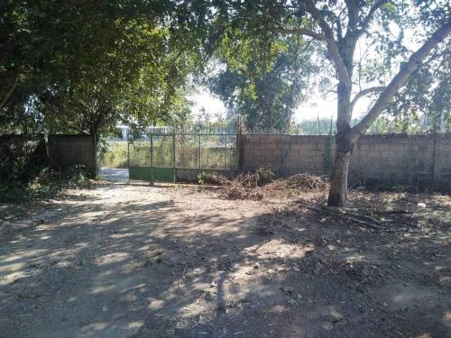 Un jardín fuera de บ้านพบสุข