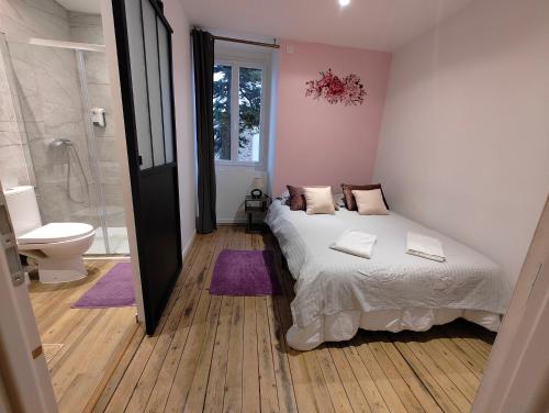 sypialnia z łóżkiem, prysznicem i toaletą w obiekcie Gîte 10 personnes maison entière w mieście Villemoirieu