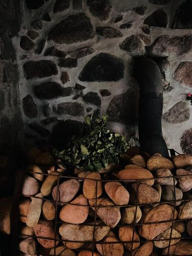 SaraiķiにあるBrīvdienu māja & pirts meža vidū - Saraiķu Sanderiのギャラリーの写真