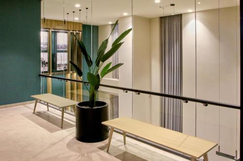 a room with two benches and a potted plant at City Express Plus by Marriott Monterrey Centro in Monterrey