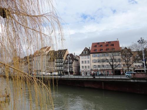 a view of a river in a city with buildings at A L'ill - Apparts & Studios Strasbourg Hyper Centre in Strasbourg