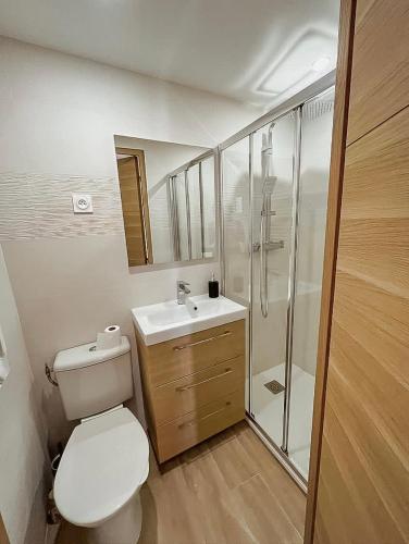 ein Badezimmer mit Toilette, Waschbecken und Dusche in der Unterkunft Studio cosy Nice in Nizza