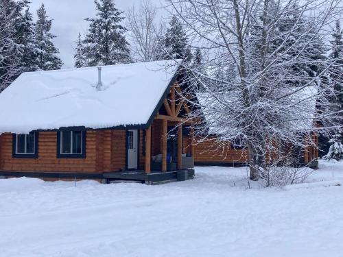 Log lofted rustic cabin in woods v zimě