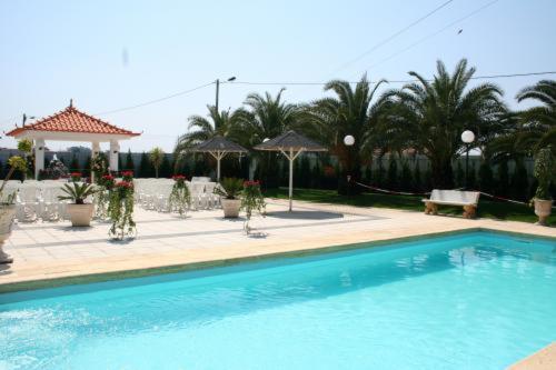 a swimming pool in a yard with trees and umbrellas at Hotel Joao Capela in Aveiro