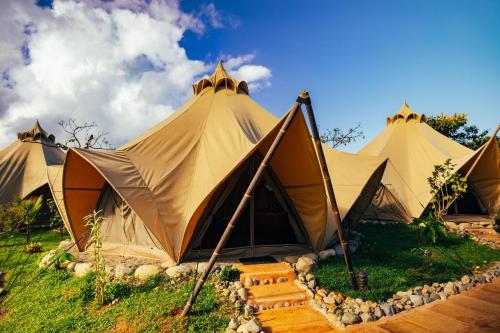 a group of tents sitting on a grass field at Eco Luxe Glamping Tent - King Bed at Holos in Barú