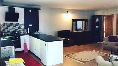 Dapur atau dapur kecil di Rahat bahçeli polonezköyde butik evimiz