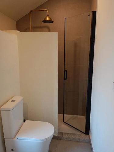 a bathroom with a toilet and a shower at Ao Carón do Camiño in Padrón
