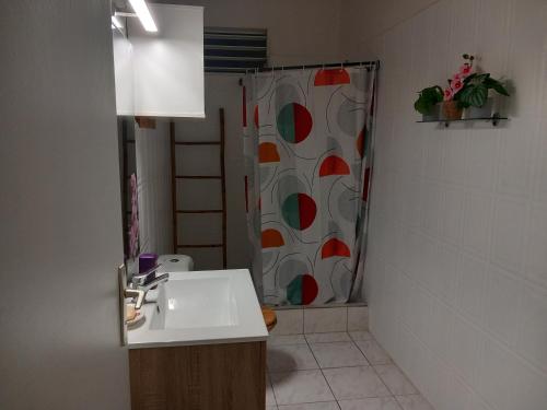 a bathroom with a sink and a shower with a shower curtain at Ô paradis de Lucile in Saint-Louis