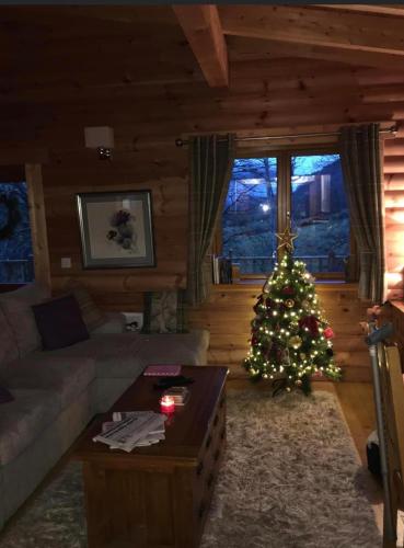 a living room with a christmas tree in a cabin at The Farmers den lodge at River Garry Lodges in Bridge of Tilt