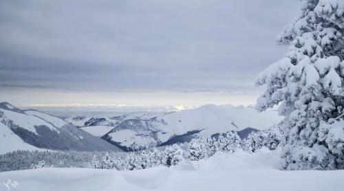 Naturlandschaft in der Nähe des Ferienhauses