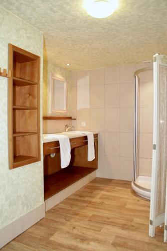 une salle de bain avec un lavabo et une douche dans l'établissement Gîte Basilic Havre de Paix pour 7 Personnes au Cœur de la Nature et près de la Meuse, à Vireux-Wallerand