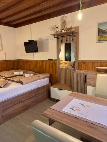 TV a/nebo společenská místnost v ubytování Apartmaji pr' Matičo