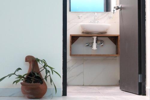 a bathroom with a sink and a potted plant at Cómoda y Acogedora Casa cerca de Av Torreón Nuevo in Morelia