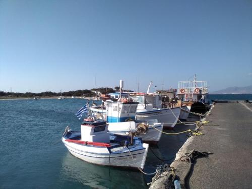 a group of boats tied to a dock in the water at Theofanis Studios in Agia Anna Naxos