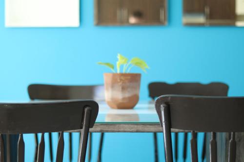 a table with chairs and a potted plant on it at Cómoda y Acogedora Casa cerca de Av Torreón Nuevo in Morelia