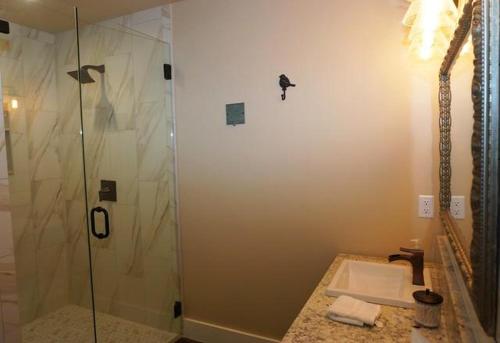a bathroom with a shower and a sink at Gateway Gathering - House in Luckenbach