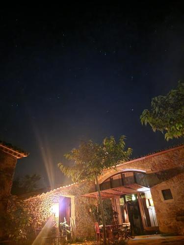 a building with a tree in front of it at night at El Racó dels Mussols 1 in Canet de Adri