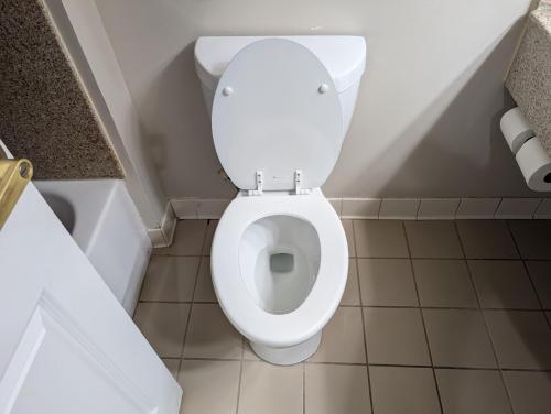 a bathroom with a toilet with the lid up at Wingate by Wyndham Chesapeake in Chesapeake