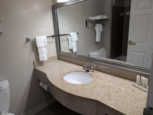 a bathroom with a sink and a mirror at Wingate by Wyndham Chesapeake in Chesapeake