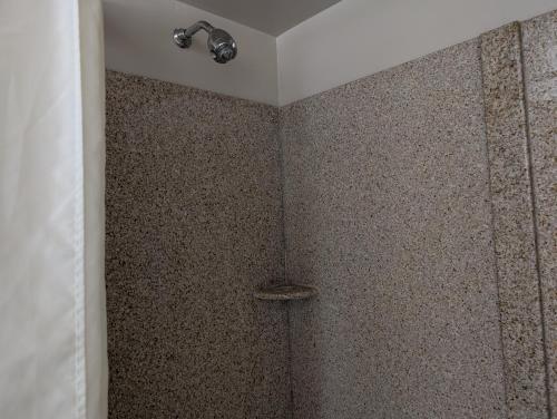 a bathroom with a shower with a shower head at Wingate by Wyndham Chesapeake in Chesapeake