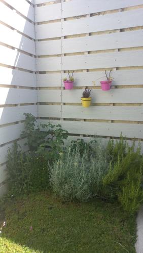 three potted plants on a wall in a garden at Departamento Mamá Inés in Esquel