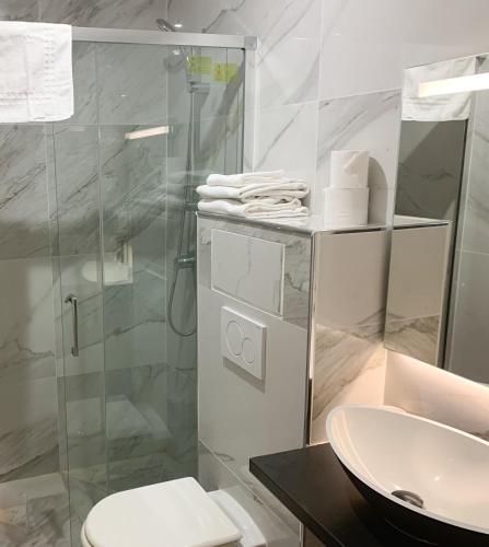 a bathroom with a shower and a toilet and a sink at Hôtel Léonard de Vinci II in Paris