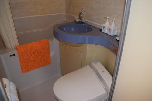 a small bathroom with a toilet and a sink at Pension Surf Rider in Nishiizu