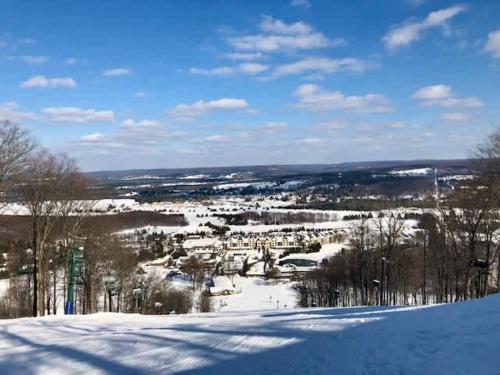 a view of a town in the snow at 1 Mile From Boyne Mt- Chateau Patak in Boyne Falls