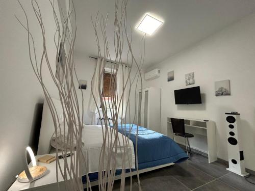 White, San Giovanni Studio