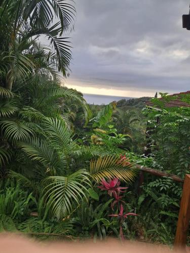 a view of a garden with trees and plants at Townhouse at Eagles Nest, Southport, KZN south coast in Port Shepstone