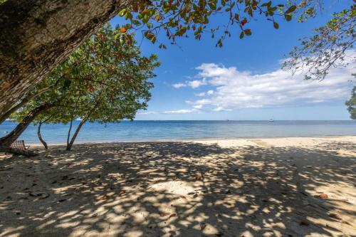a beach with a tree and the ocean at Villa Sea Breeze in West End