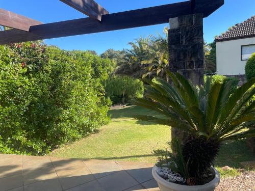 a palm tree in a pot in a yard at Basco River Lodge Luxury Apartment in Grabouw
